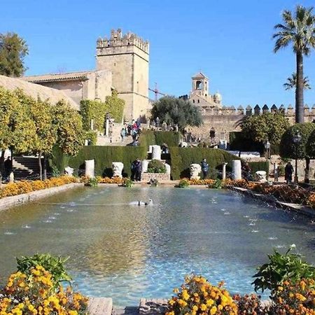 Precioso Loft El Arcangel Junto A La Ribera コルドバ エクステリア 写真