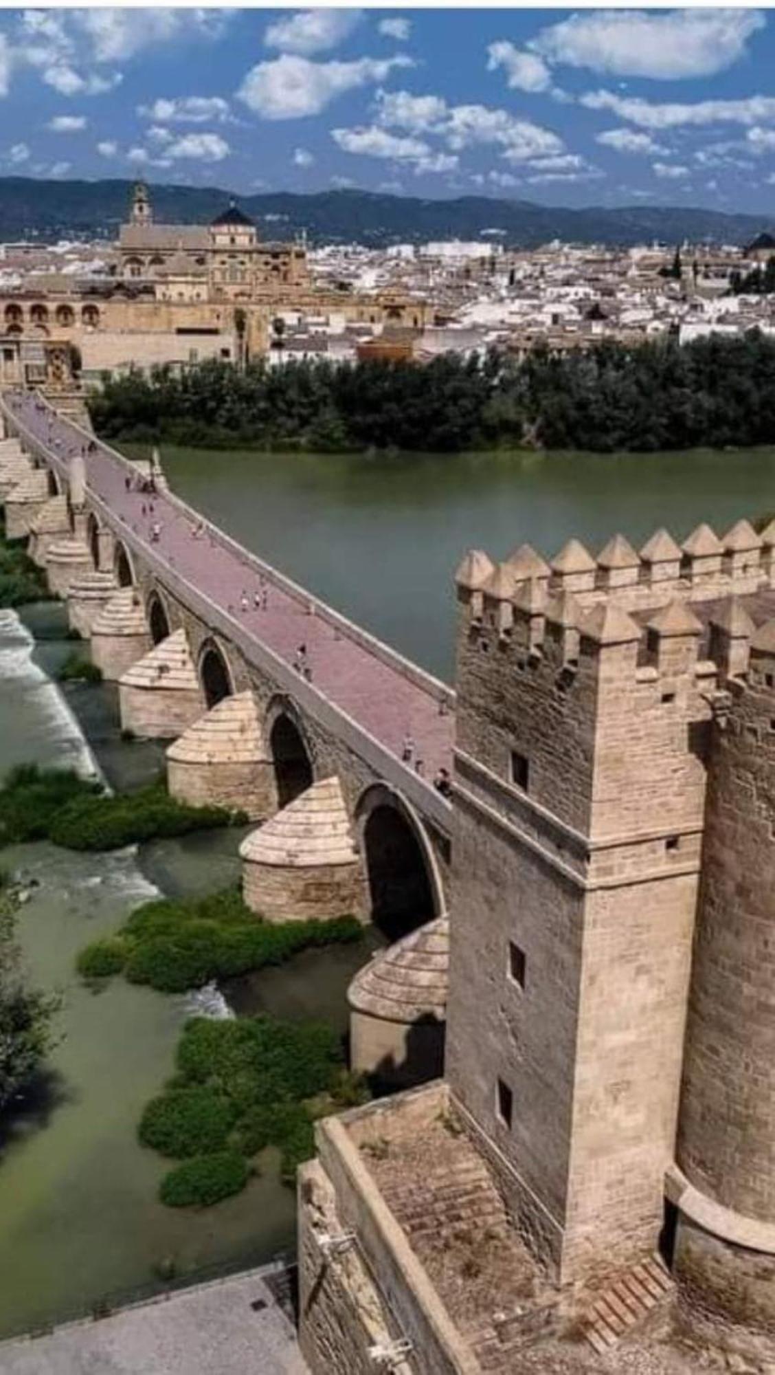 Precioso Loft El Arcangel Junto A La Ribera コルドバ エクステリア 写真