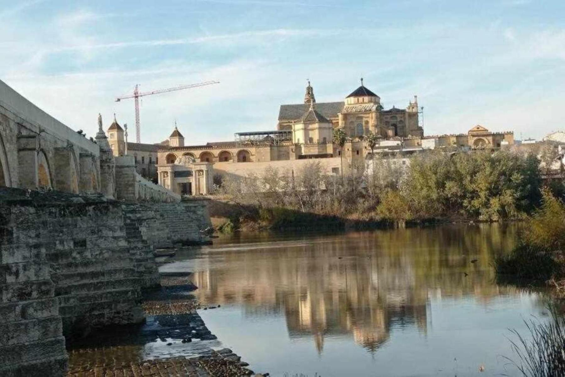 Precioso Loft El Arcangel Junto A La Ribera コルドバ エクステリア 写真