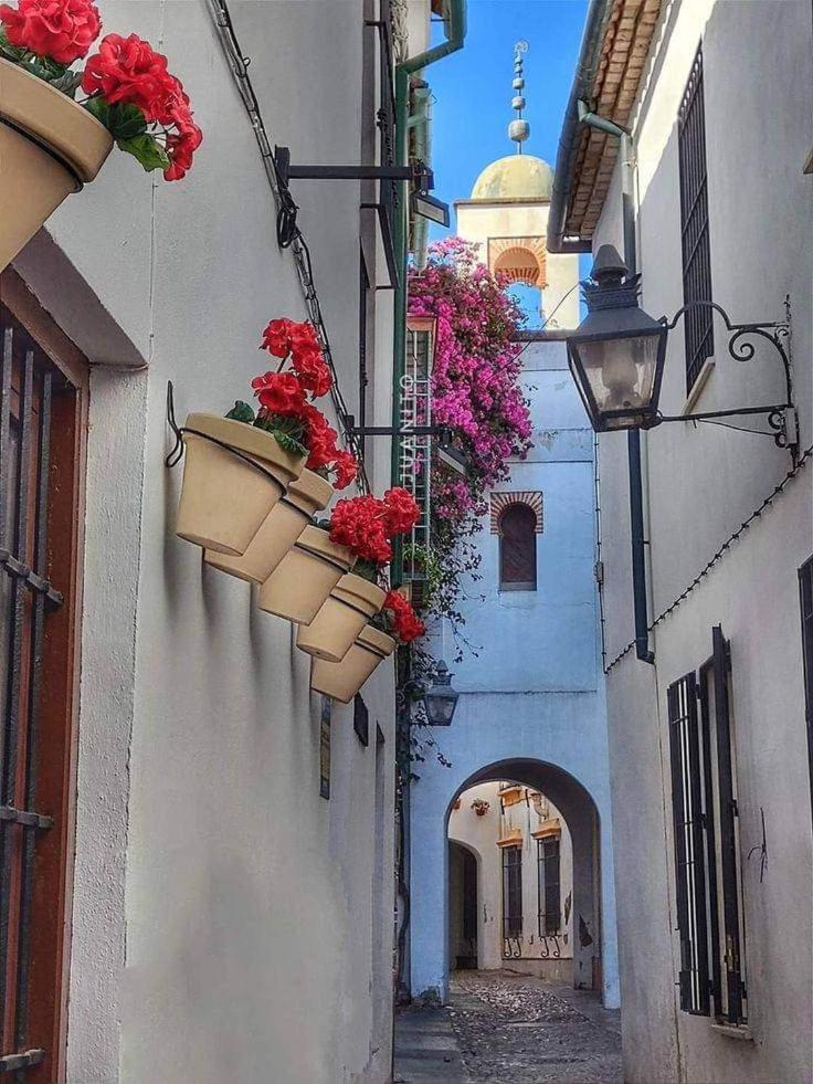 Precioso Loft El Arcangel Junto A La Ribera コルドバ エクステリア 写真